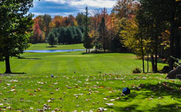 Arrowhead