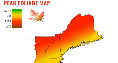 Foliage Map