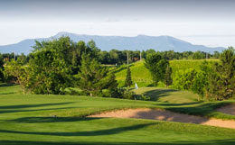 Links at Lang Farm