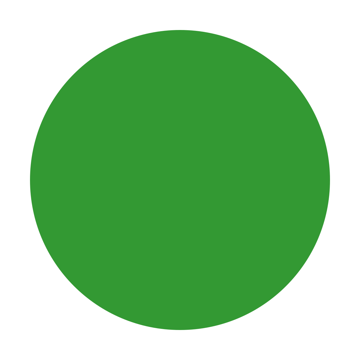 Ski trail rating symbol green circle 6