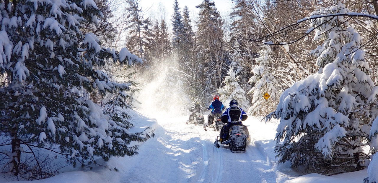 Snowmobiling Through Trees 2