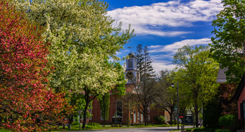 Spring in Vermont 1