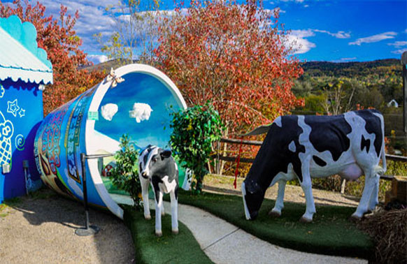 Top Attractions 1