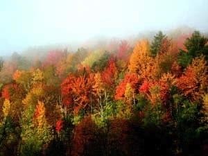 Vermont Travel Guide | Things to Do & Places to Visit 10 VermontFoliage 300x225 1
