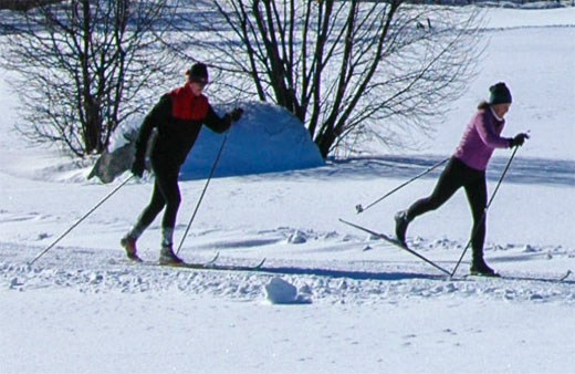X Country Skiing 1