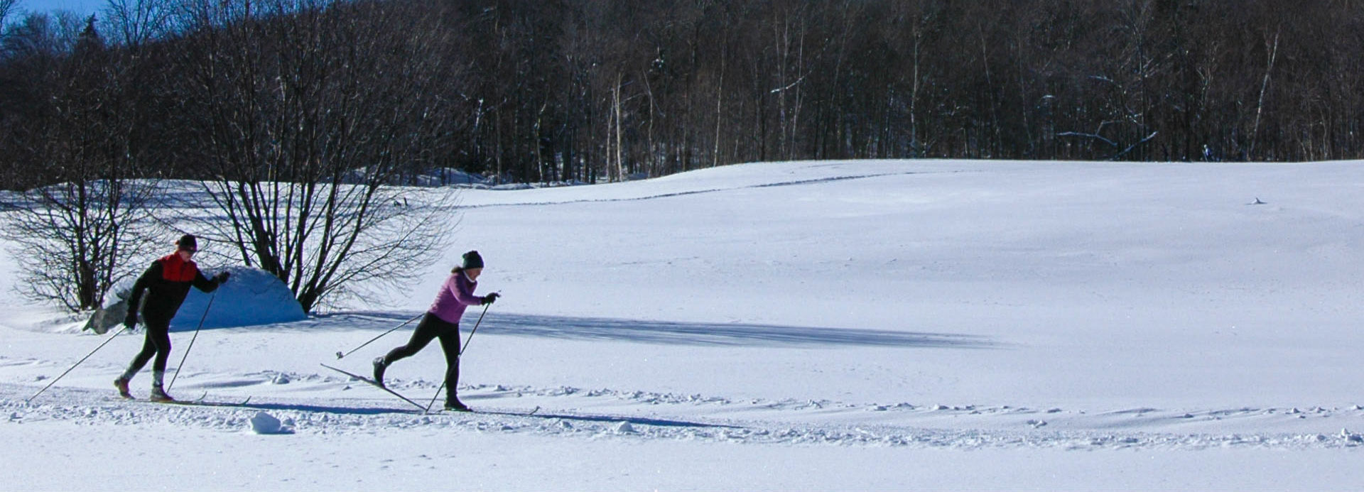 X Country Skiing Header 1