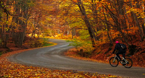 biking