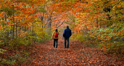 hiking
