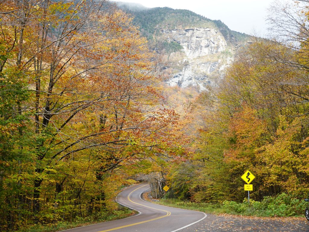 looking back on photos from fall 3