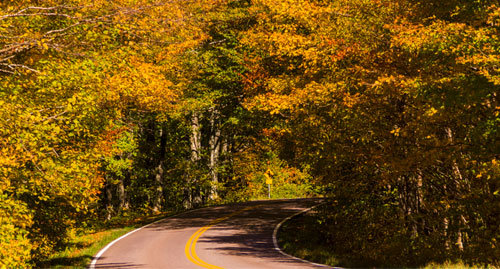 scenicdrives